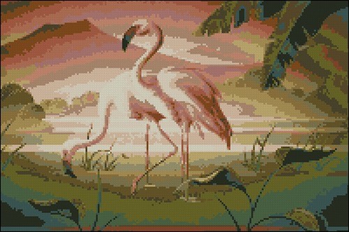 Flamingo in pereche