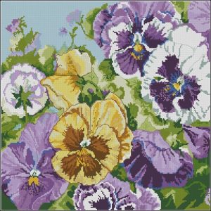 Glorious Pansies