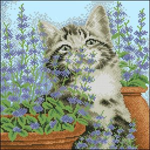 Cat Mint