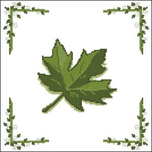Зеленый кленовый лист