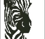 Zebra Silouette