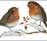 Winter Robins