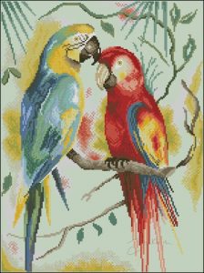 Two parrots