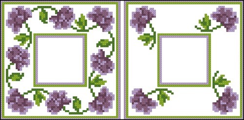 Бискорню с фиолетовыми цветками