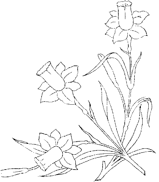 Цветы на салфетках гладью схема 10