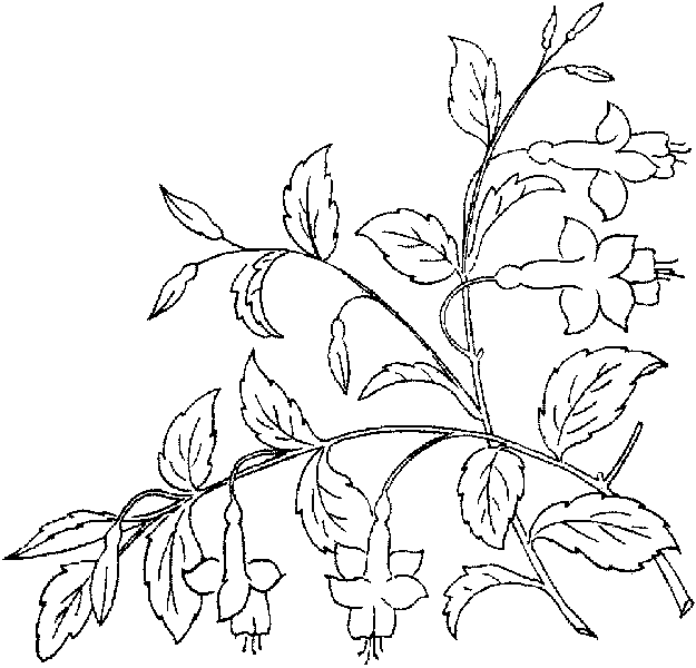 Цветы на салфетках гладью схема 4