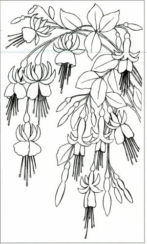 Авторские схемы для вышивания Ольга (Tinker Bell, fuchsia-flower)