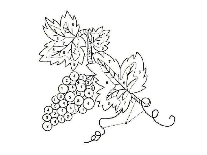 Схема для вышивки гладью Виноград рисунок