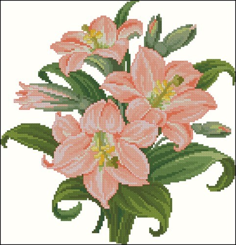 Amarillis Bouquet