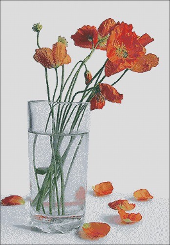 Poppies in a glass