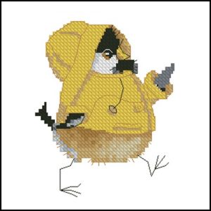 Rain Chick