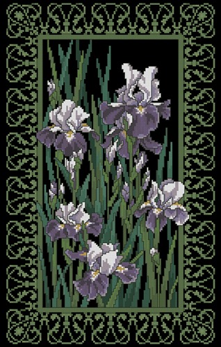 Filigree Irises