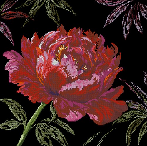 Well Worth Waiting For-Peony