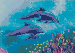 CS-036 Dolphins