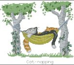 Cat napping