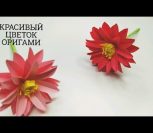 ВИДЕО: КАК СДЕЛАТЬ ПОТРЯСАЮЩИЙ ЦВЕТОК ИЗ БУМАГИ | beautiful paper flower