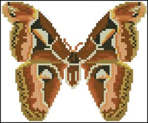 Бабочка 2