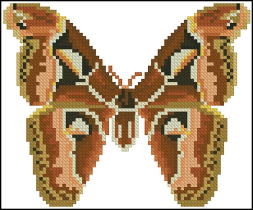 Бабочка 2