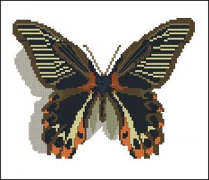 Бабочка 9