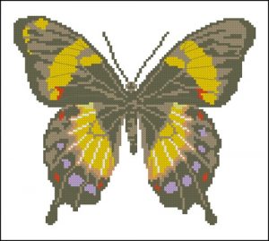 Бабочка 10