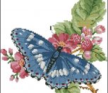 Бабочка и весенний цвет