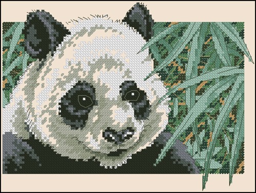 Panda Delight
