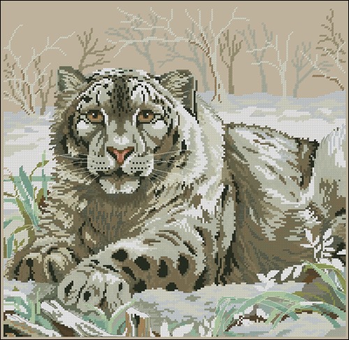 Snow Leopard