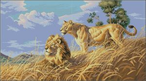 African Lions