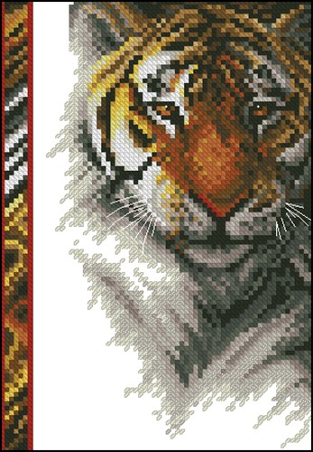 Wildlife Series Tiger