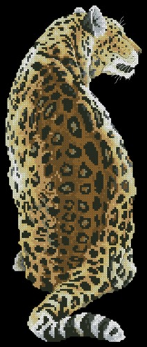 Леопард на черном