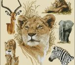 Safari Collection