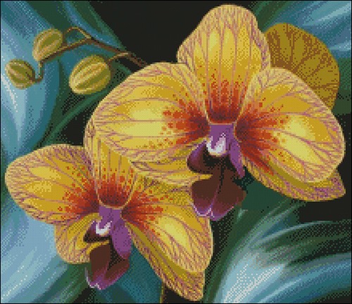 Персиковая орхидея