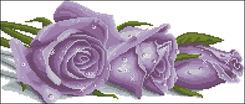 Фиолетовая роза в росе