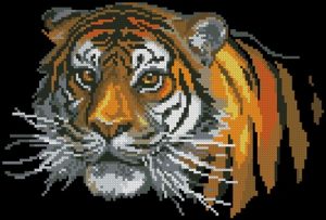 Tiger (#259)