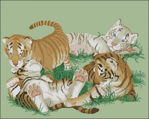 Tiny Tigers