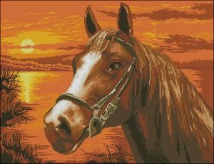 Sunset Horse Portrait