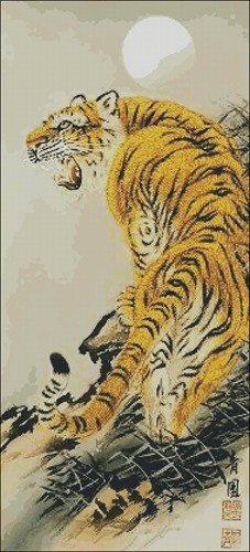 China tiger
