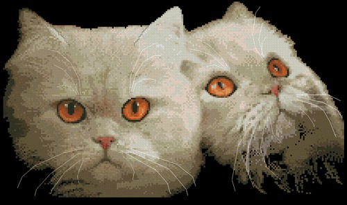 Persian Cats