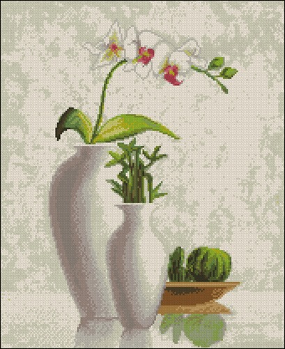 Орхидея и Кактус