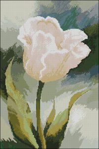 Нежный тюльпан