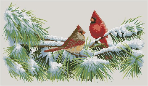 Зимние кардиналы