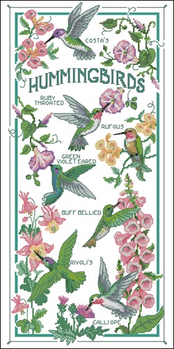 The Hummingbird Society
