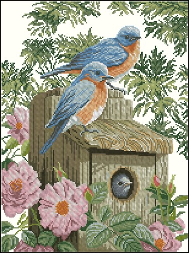 Garden blue birds