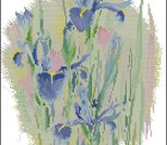Watercolour Irises
