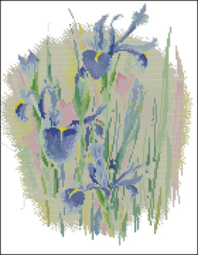 Watercolour Irises