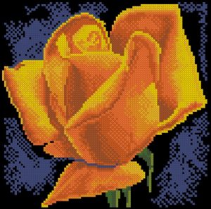 Rose Flower, Yellow Flowers