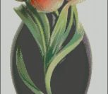 Шикарные тюльпаны в черной вазе