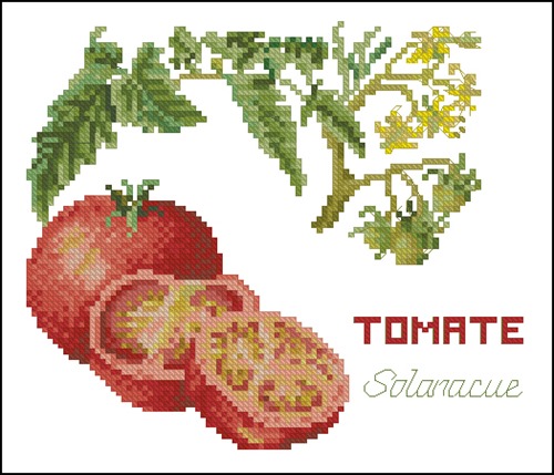 TG 3040 Tomate