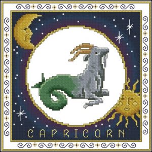 Zodiaco Capricorno