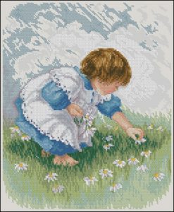 Collecting Daisies